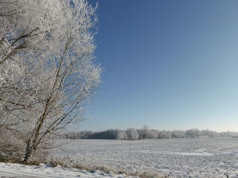 Winter